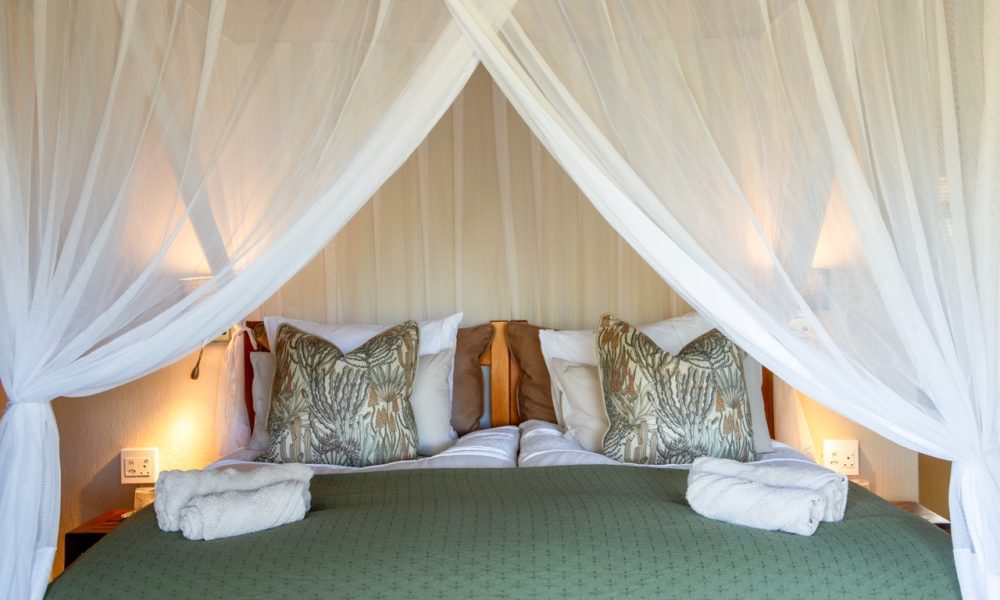 Impala - XL bed with luxury cushions and mosquito netting 49