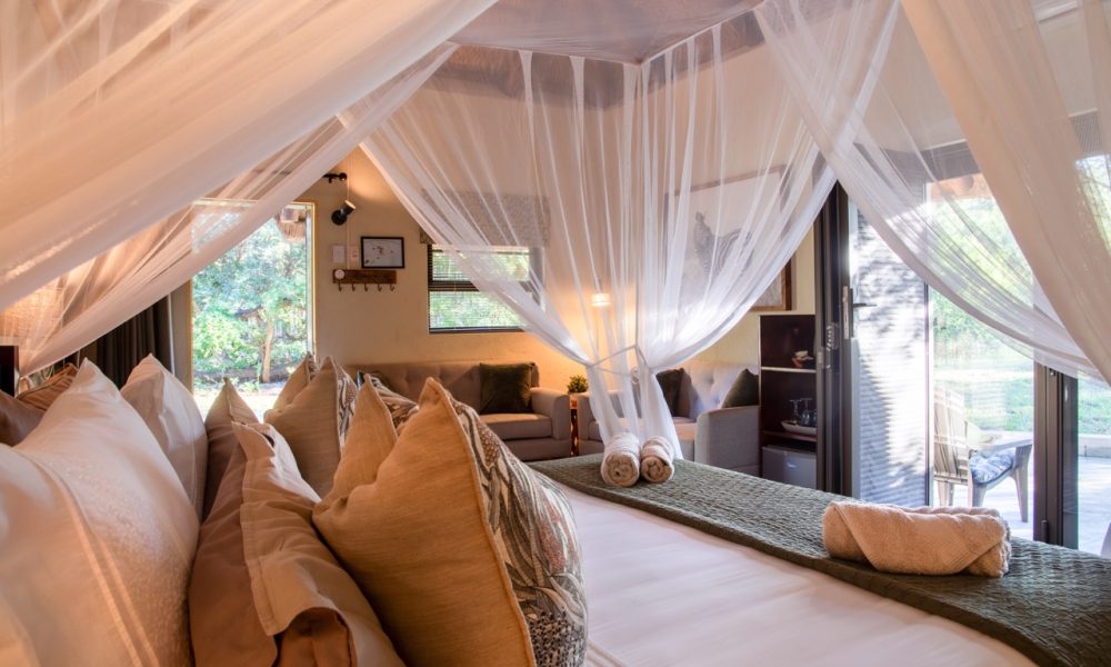 Zebra, Family Room - 5-star Lengau Lodge - Kruger National Park - spacious room with sitting corner and two double XL beds