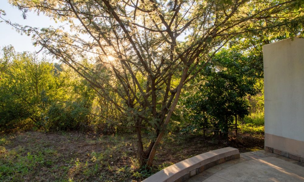 Zebra, Family Room - Lengau Lodge - Kruger National Park - spacious room with sitting corner and two double XL beds. Outside shower and private terrace, looking into the bush